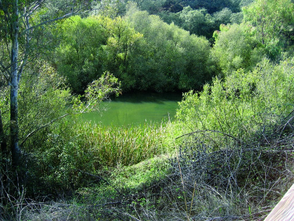 actividades-en-Badajoz-vegas-del-Guadiana