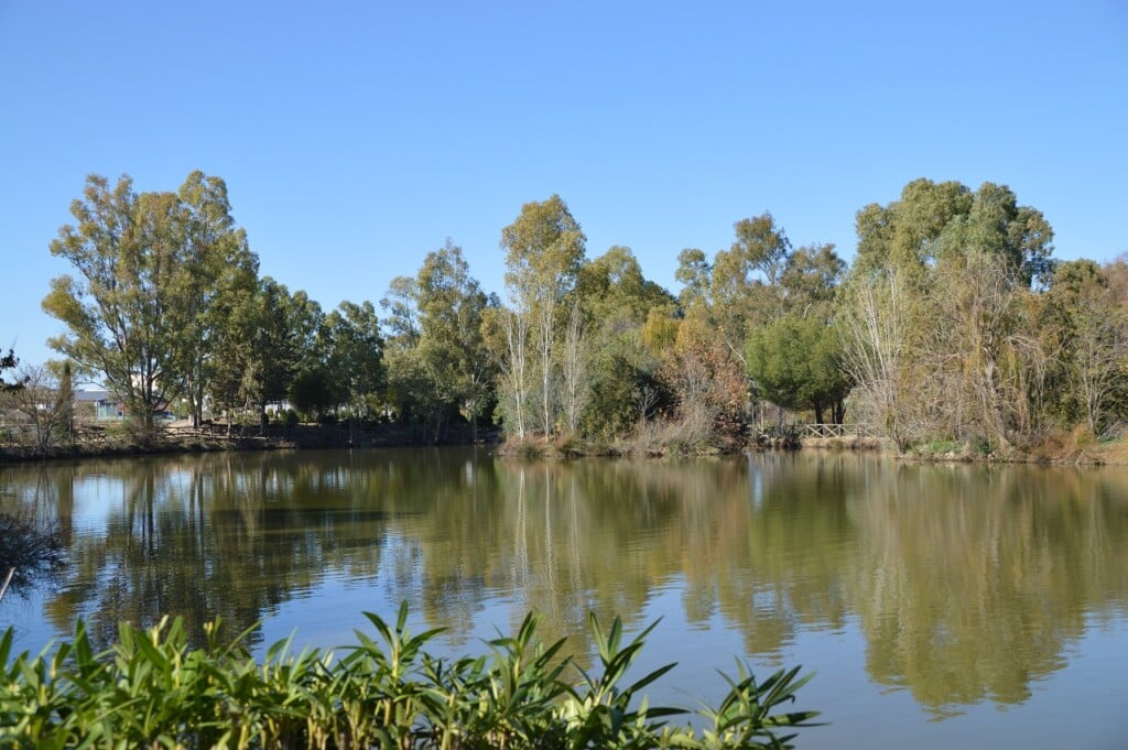 actividades-en-Badajoz-parque-natural-las-Quinientas